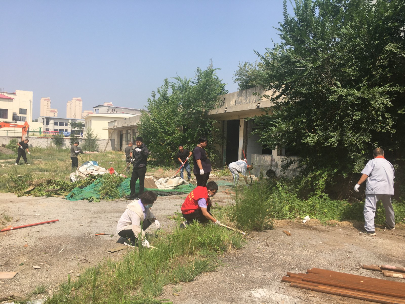 28165219.jpg 28165219.jpg